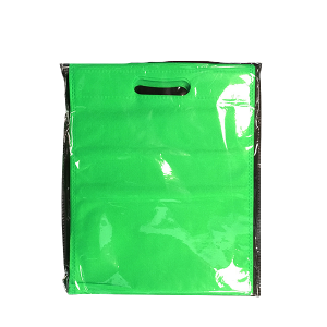 BOLSA TNT 31X25 VERDE LIMA 10 UND FE