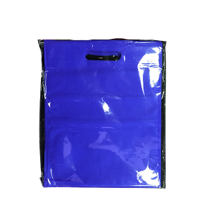 BOLSA TNT 31X25  AZUL 10 UNID FE