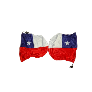FIESTAS PATRIAS ACCESORIO AUTO