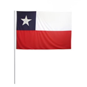 Bandera Chile 30x45 palito fe