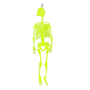 Adorno Esqueleto Halloween Fluor 43cm Be