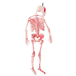 Adorno Esqueleto Halloween Blanco 35cm